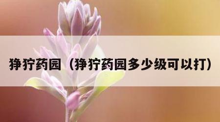 狰狞药园（狰狞药园多少级可以打）