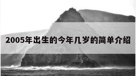 2005年出生的今年几岁的简单介绍