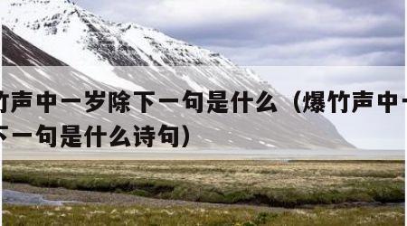 爆竹声中一岁除下一句是什么（爆竹声中一岁除下一句是什么诗句）