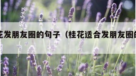 桂花发朋友圈的句子（桂花适合发朋友圈的句子）