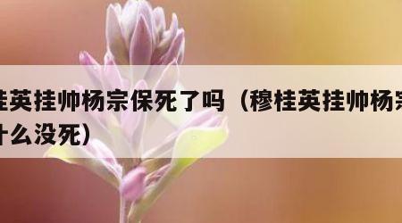 穆桂英挂帅杨宗保死了吗（穆桂英挂帅杨宗保为什么没死）