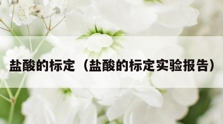 盐酸的标定（盐酸的标定实验报告）