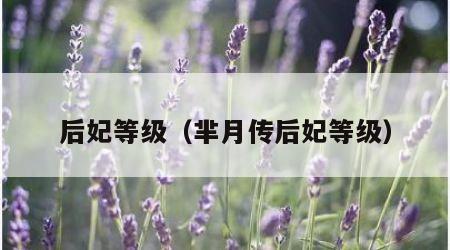 后妃等级（芈月传后妃等级）