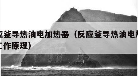 反应釜导热油电加热器（反应釜导热油电加热器工作原理）