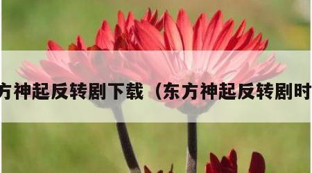 东方神起反转剧下载（东方神起反转剧时间）