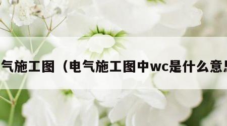 电气施工图（电气施工图中wc是什么意思）