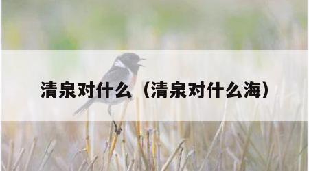 清泉对什么（清泉对什么海）