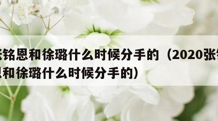 张铭恩和徐璐什么时候分手的（2020张铭恩和徐璐什么时候分手的）