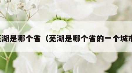 芜湖是哪个省（芜湖是哪个省的一个城市）