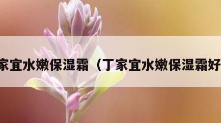 丁家宜水嫩保湿霜（丁家宜水嫩保湿霜好吗）