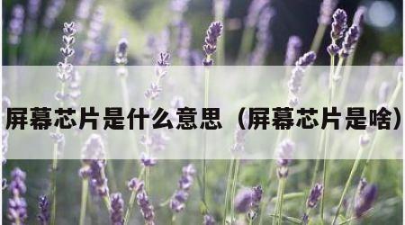 屏幕芯片是什么意思（屏幕芯片是啥）