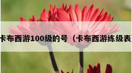 卡布西游100级的号（卡布西游练级表）