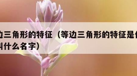 等边三角形的特征（等边三角形的特征是什么也叫什么名字）