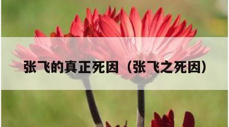 张飞的真正死因（张飞之死因）