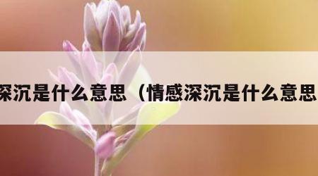 深沉是什么意思（情感深沉是什么意思）