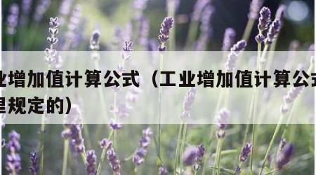 工业增加值计算公式（工业增加值计算公式是哪里规定的）