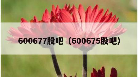 600677股吧（600675股吧）