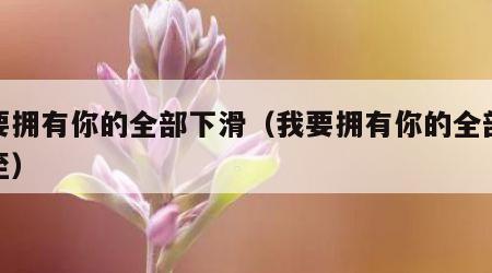 我要拥有你的全部下滑（我要拥有你的全部更新至）