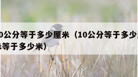 10公分等于多少厘米（10公分等于多少厘米等于多少米）