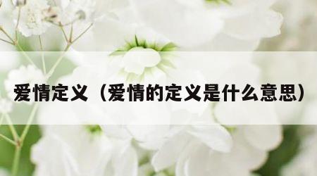 爱情定义（爱情的定义是什么意思）