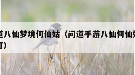 问道八仙梦境何仙姑（问道手游八仙何仙姑怎么打）