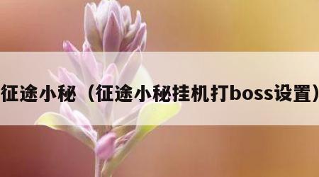 征途小秘（征途小秘挂机打boss设置）