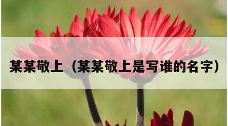 某某敬上（某某敬上是写谁的名字）