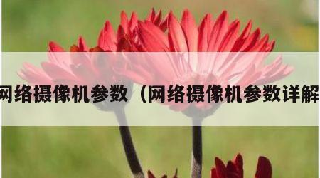 网络摄像机参数（网络摄像机参数详解）