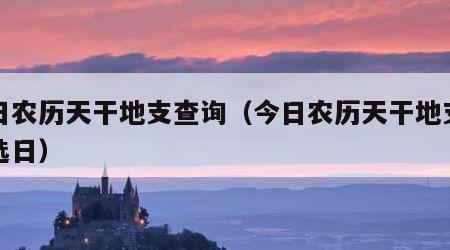 今日农历天干地支查询（今日农历天干地支查询选日）