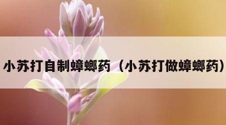 小苏打自制蟑螂药（小苏打做蟑螂药）