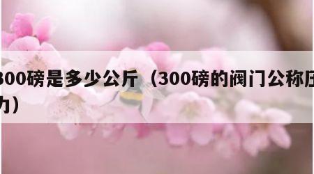 300磅是多少公斤（300磅的阀门公称压力）