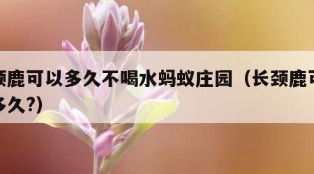 长颈鹿可以多久不喝水蚂蚁庄园（长颈鹿可以活多久?）