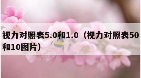 视力对照表5.0和1.0（视力对照表50和10图片）