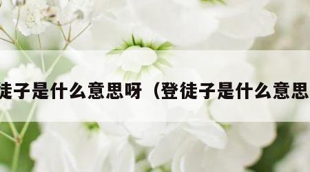 登徒子是什么意思呀（登徒子是什么意思门）