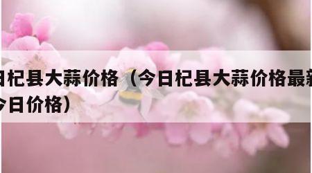 今日杞县大蒜价格（今日杞县大蒜价格最新行情今日价格）