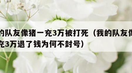 我的队友像猪一充3万被打死（我的队友像猪一充3万退了钱为何不封号）