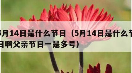 5月14日是什么节日（5月14日是什么节日啊父亲节日一是多号）