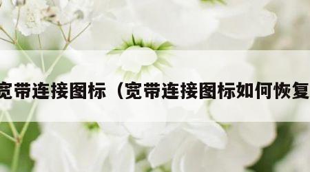 宽带连接图标（宽带连接图标如何恢复）