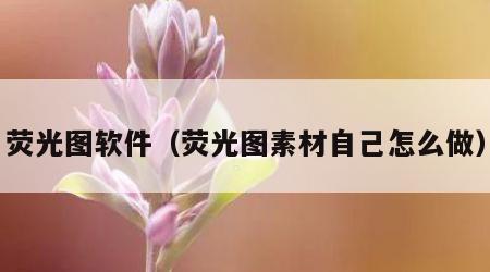 荧光图软件（荧光图素材自己怎么做）