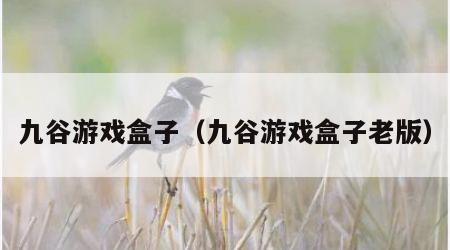 九谷游戏盒子（九谷游戏盒子老版）