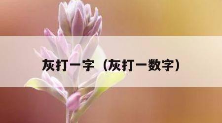 灰打一字（灰打一数字）