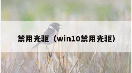 禁用光驱（win10禁用光驱）