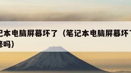 笔记本电脑屏幕坏了（笔记本电脑屏幕坏了能维修吗）