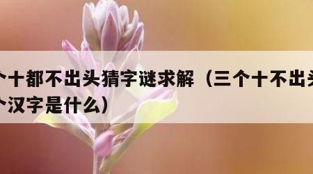 三个十都不出头猜字谜求解（三个十不出头打一个汉字是什么）