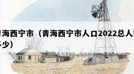 青海西宁市（青海西宁市人口2022总人数多少）