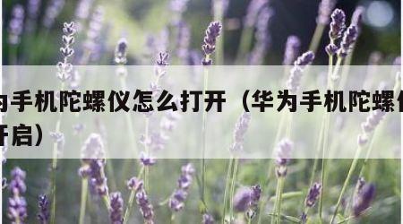 华为手机陀螺仪怎么打开（华为手机陀螺仪怎么开启）