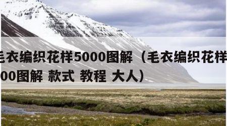 毛衣编织花样5000图解（毛衣编织花样5000图解 款式 教程 大人）