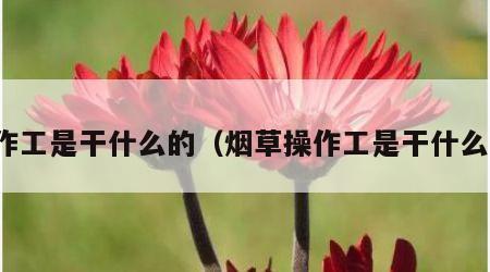 操作工是干什么的（烟草操作工是干什么的）