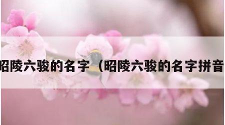 昭陵六骏的名字（昭陵六骏的名字拼音）