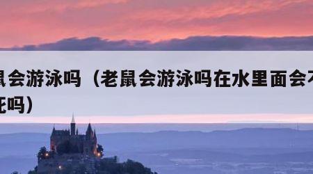 老鼠会游泳吗（老鼠会游泳吗在水里面会不会淹死吗）